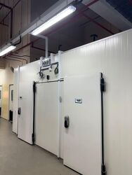 CT FoodCHAIN (D5), Factory #543639991